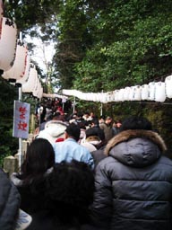 参道登り 参道登り